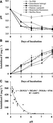 Isolating and Characterizing Phosphorus Solubilizing Bacteria From Rhizospheres of Native Plants Grown in Calcareous Soils